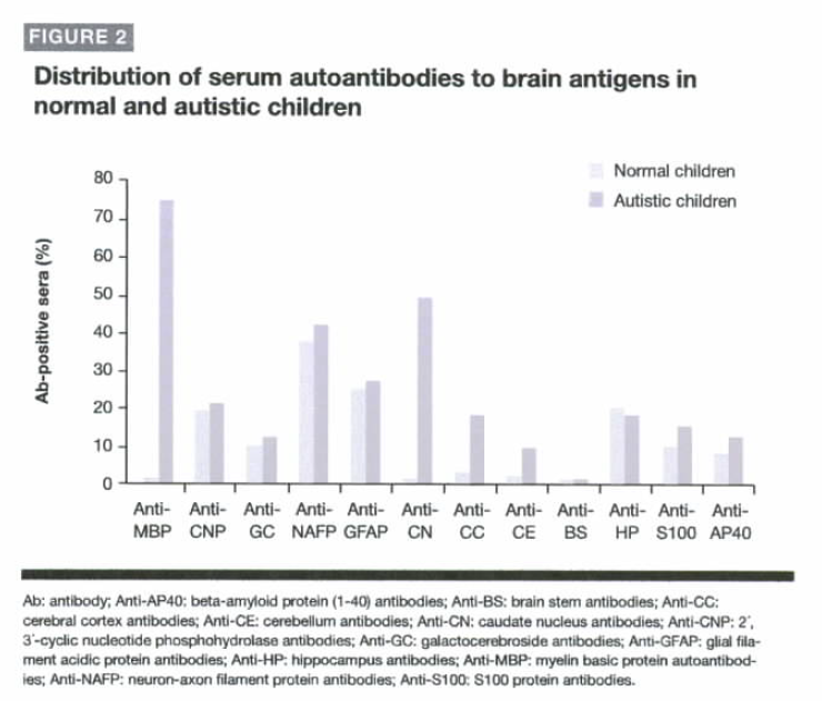 Distribuzione di autoanticorpi sierici agli antigeni cerebrali in bambini normali e autistici