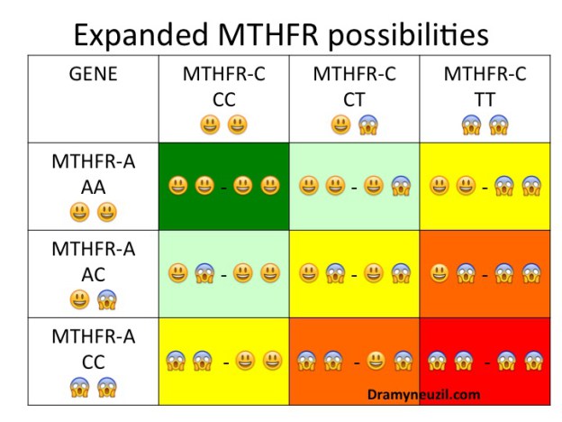 Varianti dei polimorfismi MTHFR