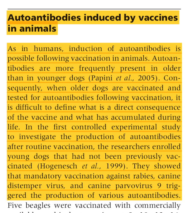 Autoanticorpi indotti dalle vaccinazioni nei cani