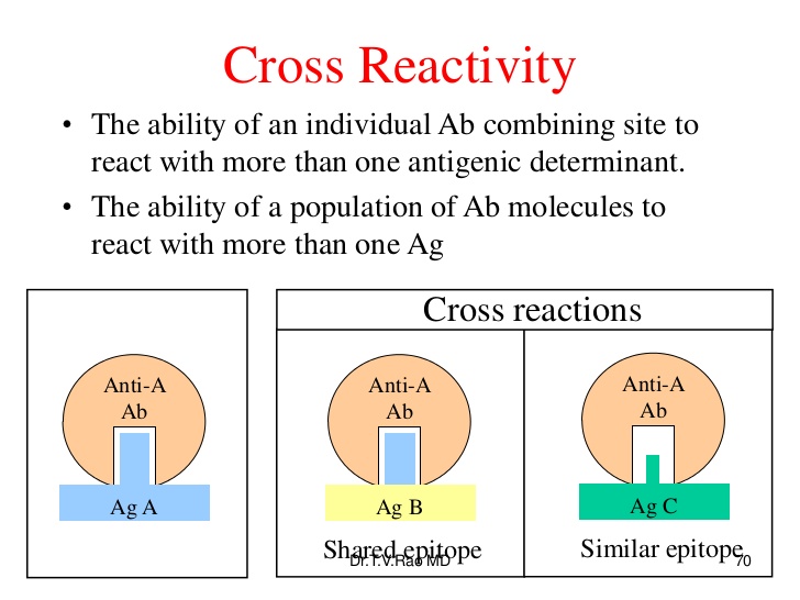 Antigeni e cross-reattività